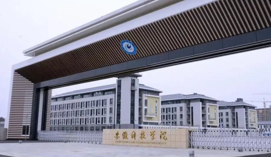 植物根測量系統