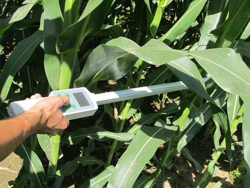 林業局當中應用植物冠層分析儀