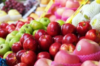 果蔬呼吸測定儀 果蔬呼吸測定儀