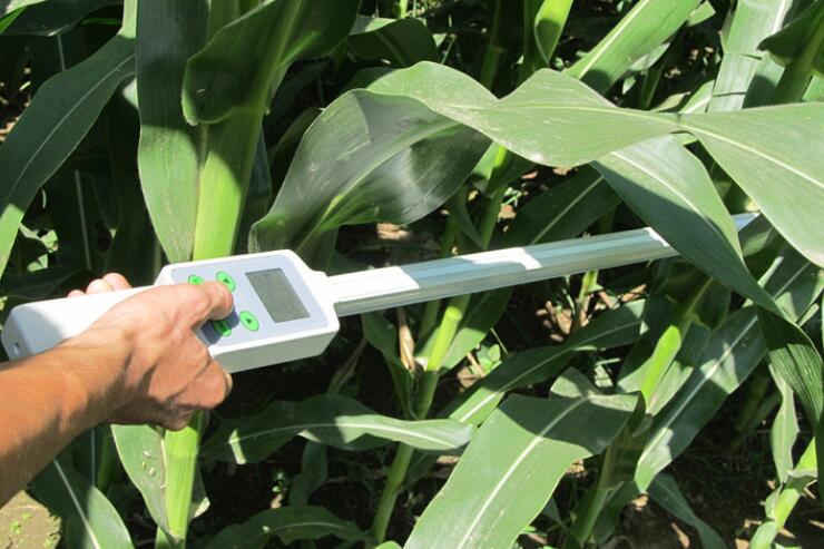 植物冠層分析儀 植物冠層分析儀